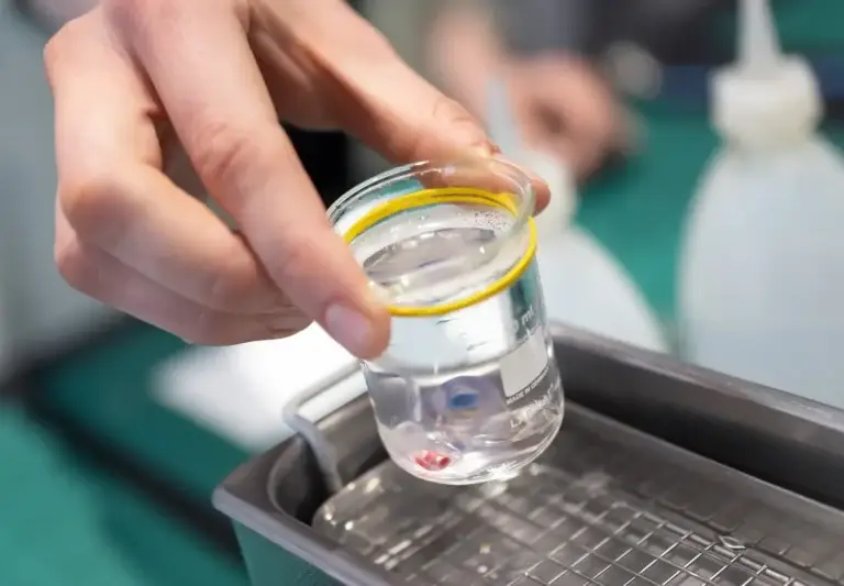 Professionelle Hörgeräte Reinigung im Ultraschallbad beim Fachbetrieb